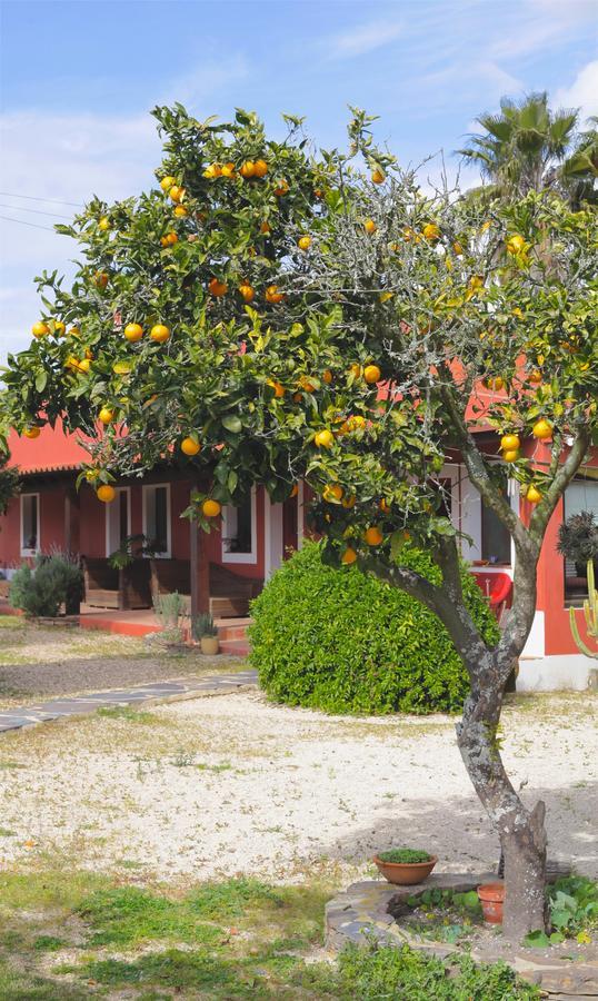 Monte Da Xica - Somente Adultos Guest House Замбужейра до Мар Екстериор снимка